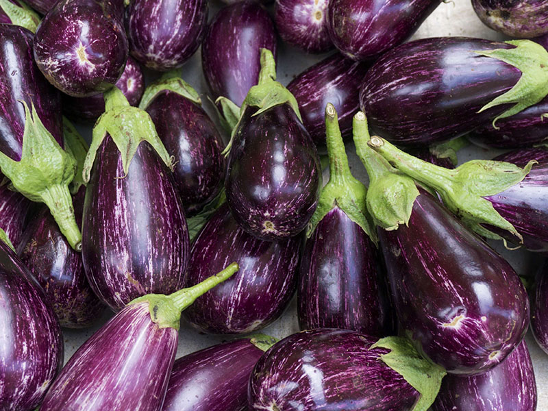 APM Italia Fresh Produce Salad Aubergine