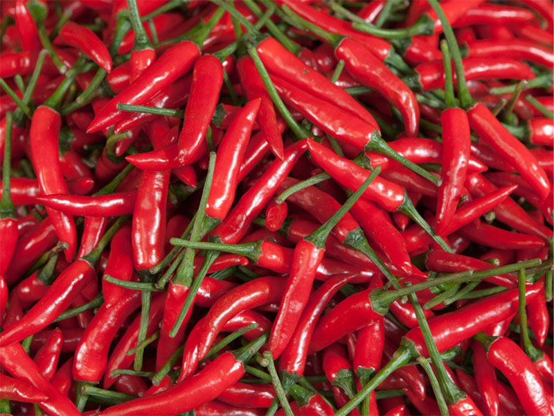 APM Italia Fresh Produce Salad Chillies