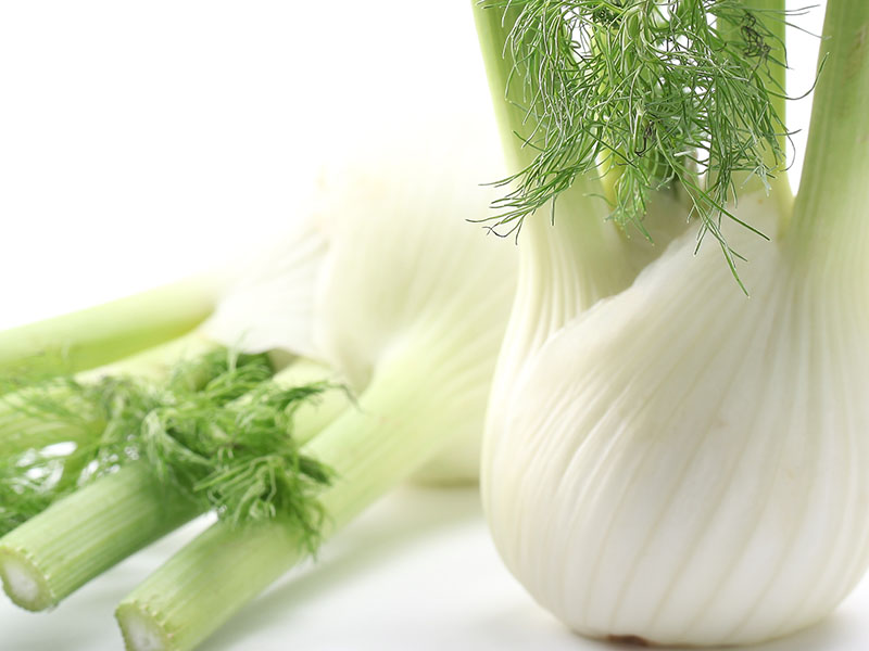 APM Italia Fresh Produce Salad Fennel