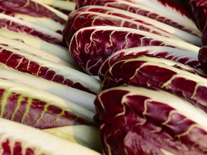 APM Italia Fresh Produce Salad Radicchio