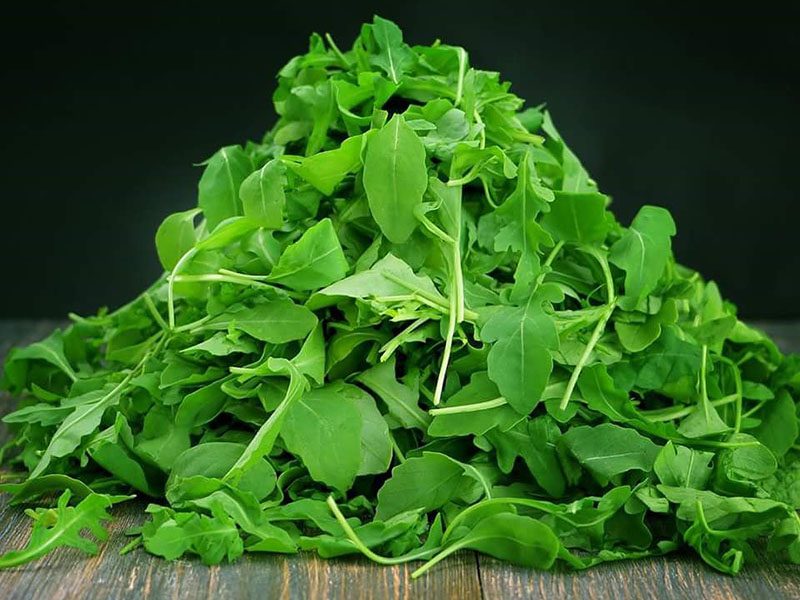 APM Italia Fresh Produce Salad Rocket