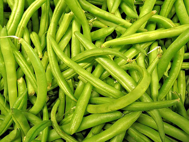 APM Italia Fresh Produce Vegetables Bobby Beans