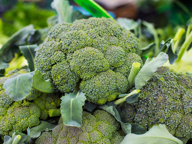 APM Italia Fresh Produce Vegetables Broccoli