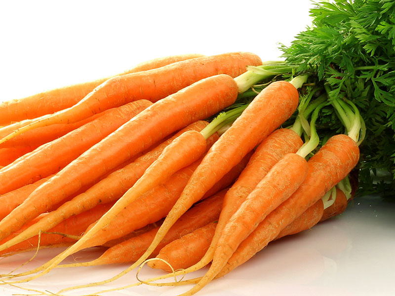 APM Italia Fresh Produce Vegetables Bunched Carrots