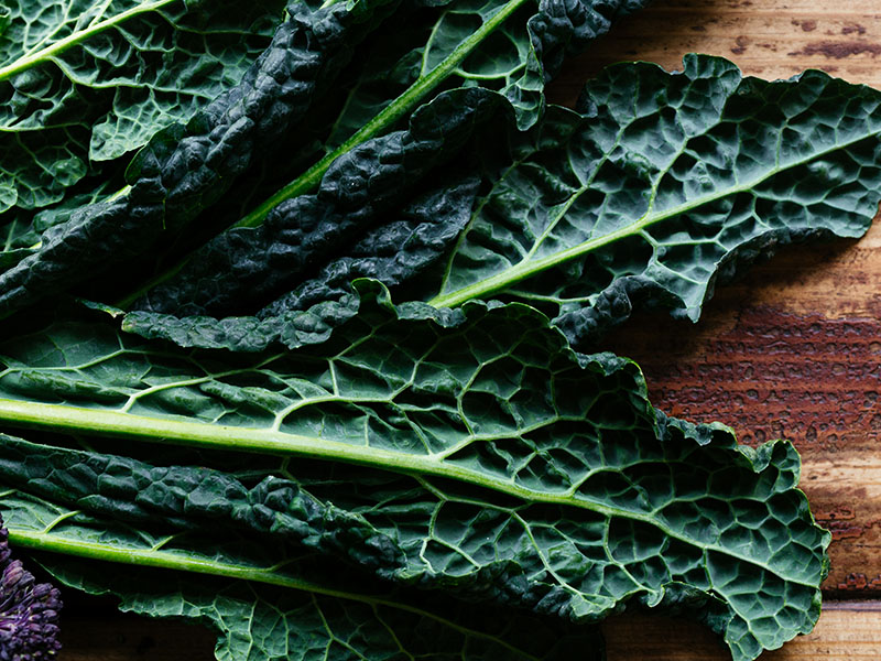 APM Italia Fresh Produce Vegetables Cavolo Nero