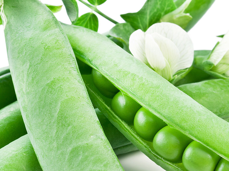 APM Italia Fresh Produce Vegetables Peas