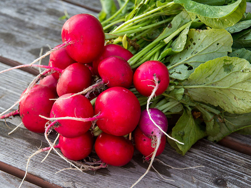 APM Italia Fresh Produce Vegetables Radishes
