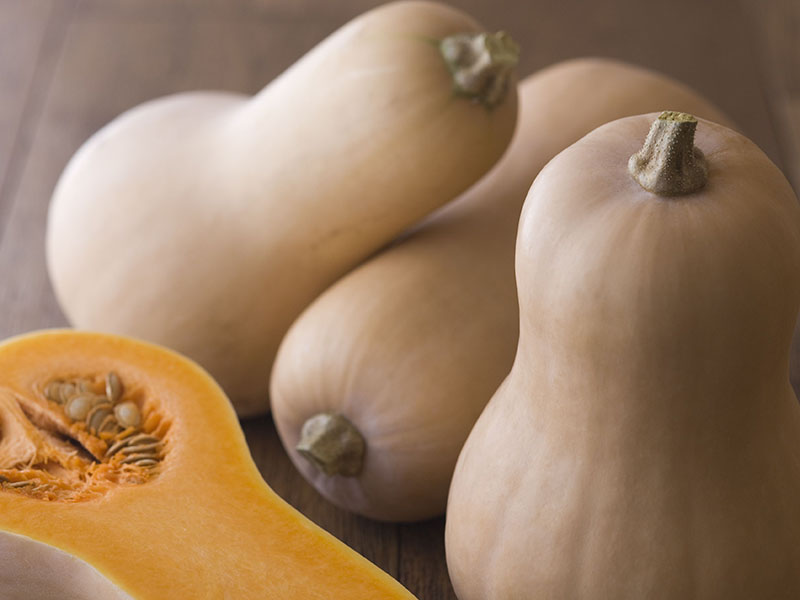 APM Italia Fresh Produce Vegetables butternut squash