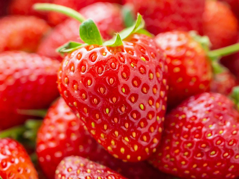 APM Italia Fresh Produce Fruit Strawberries